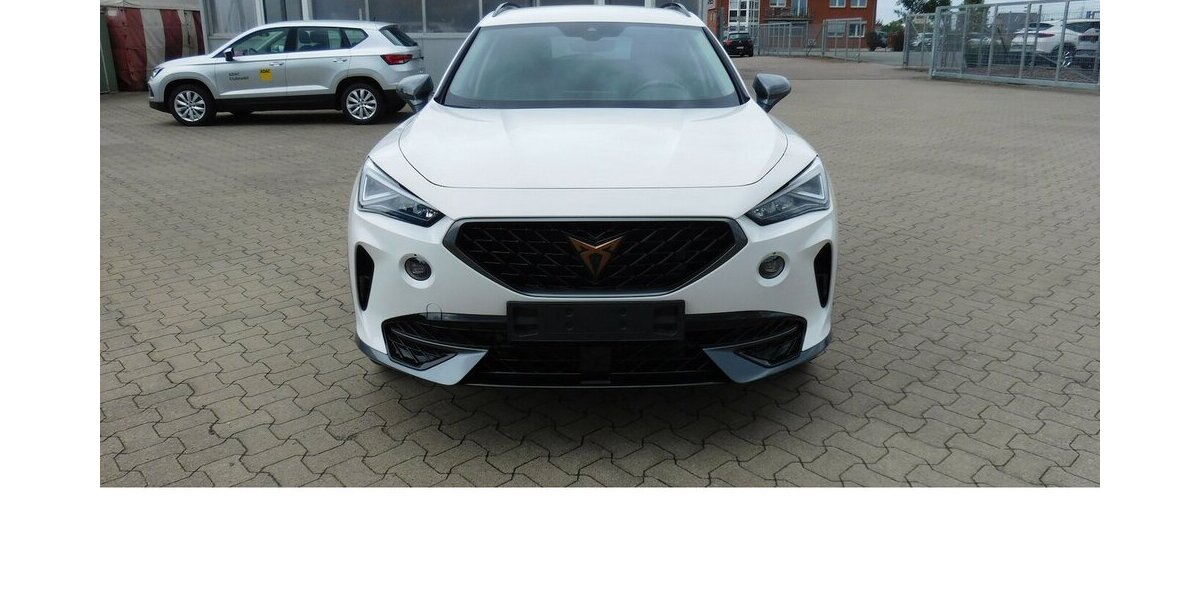 Cupra Formentor 1.5 TSI BMT Klima LED Alu 18.400 km 20.990 &euro; Vordorf 38533