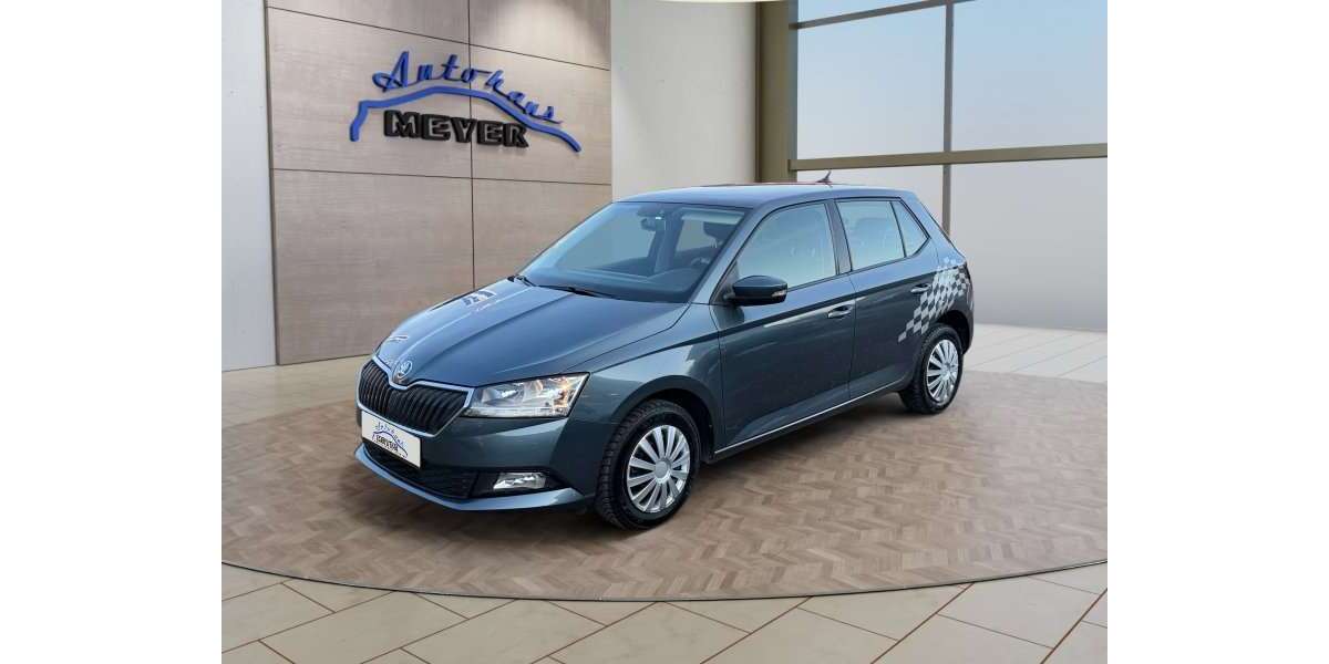 Skoda Fabia 86.802 km 8.910 &euro; Sickte 38173