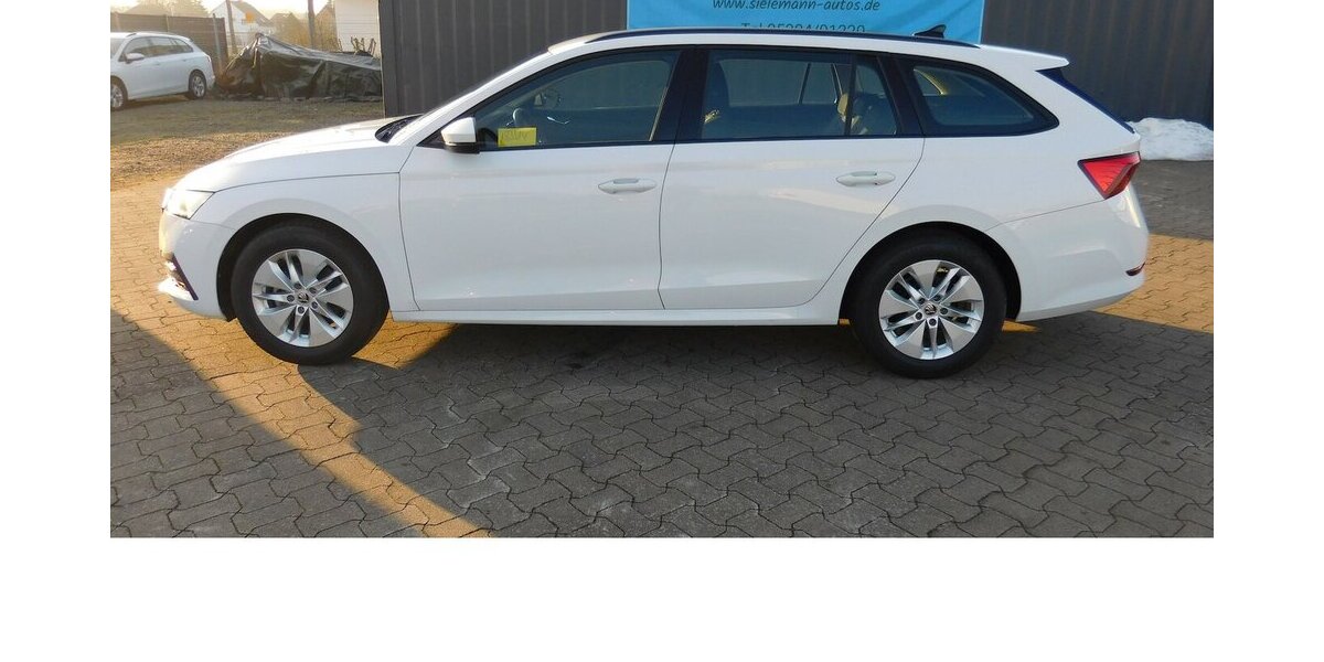 Skoda Octavia 1.0 Kombi Ambition TSI BMT Klima Alu 19.600 km 16.990 &euro; Vordorf 38533