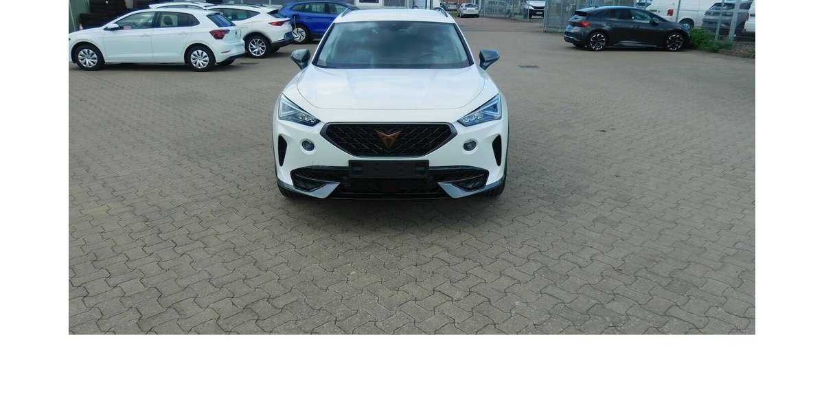 Cupra Formentor 1.5 TSI BMT Klima LED Alu Navi 15.600 km 21.990 &euro; Vordorf 38533