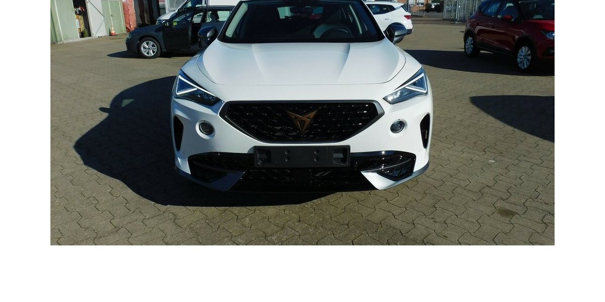 Cupra Formentor 1.5 TSI BMT Klima LED Navi 22.200 km 22.990 &euro; Vordorf 38533