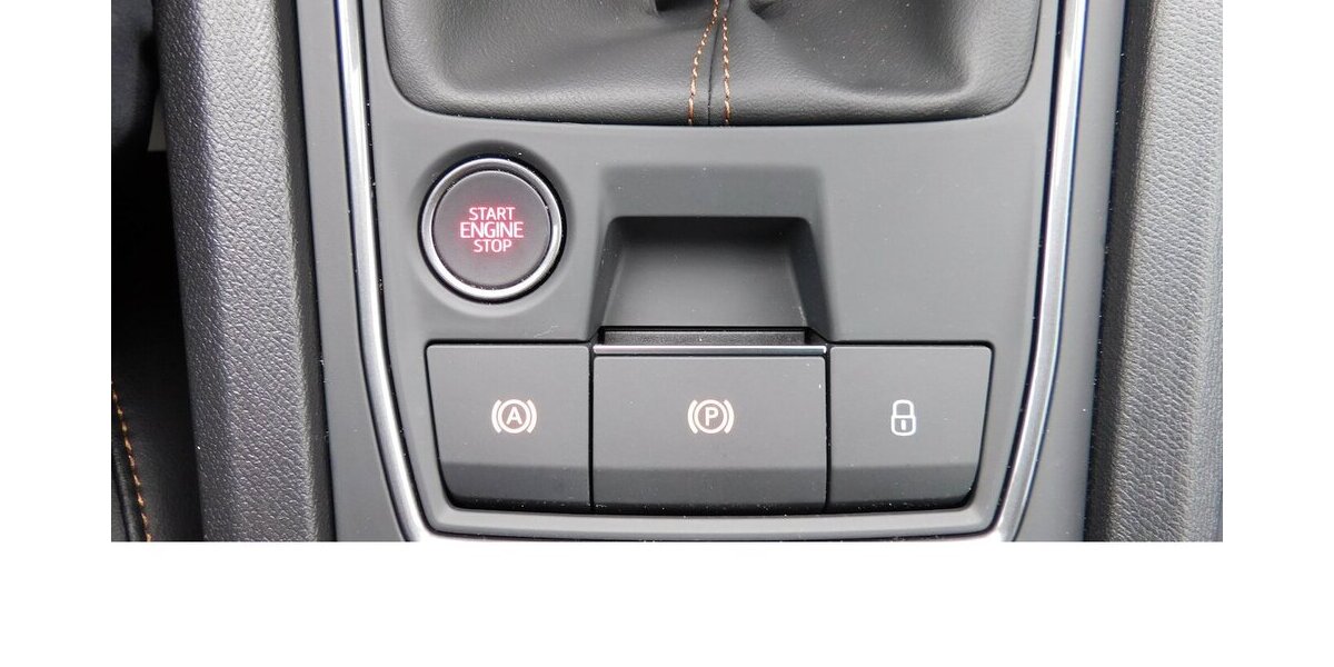 Cupra Formentor 1.5 TSI BMT Klima LED Alu 22.200 km 20.990 &euro; Vordorf 38533