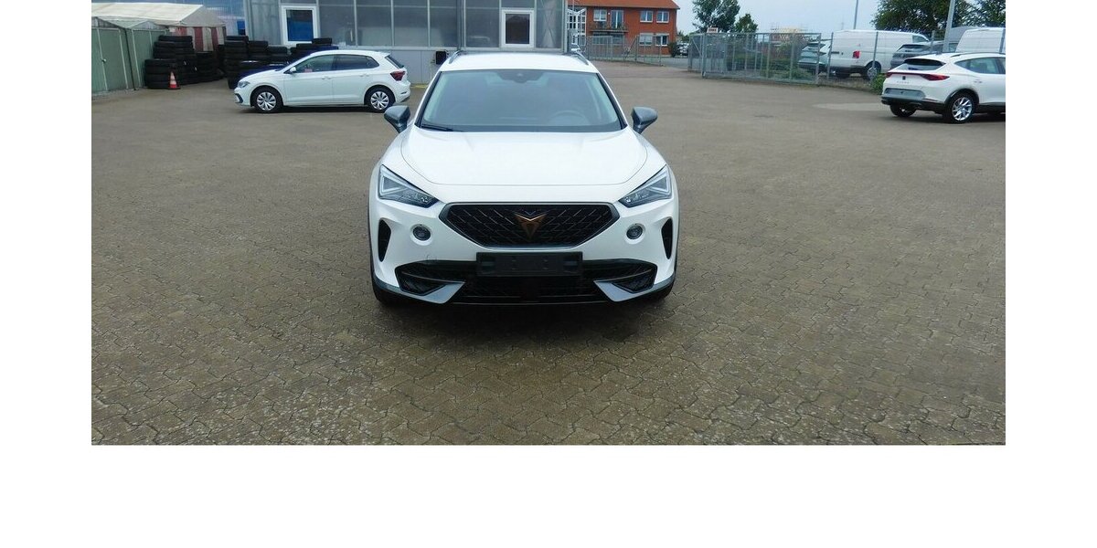 Cupra Formentor 1.5 TSI BMT Klima LED Alu Navi 23.800 km 21.990 &euro; Vordorf 38533